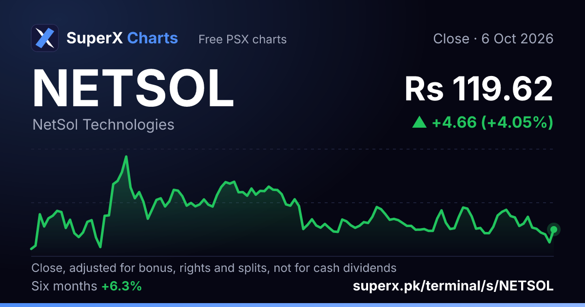 NETSOL: six-month price line