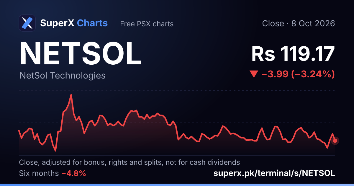NETSOL: six-month price line