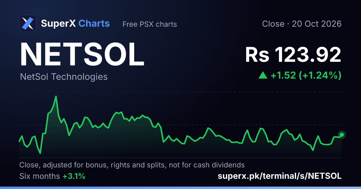 NETSOL: six-month price line